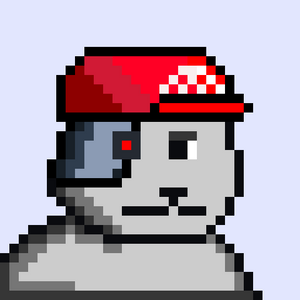 bear_infinity: 6455