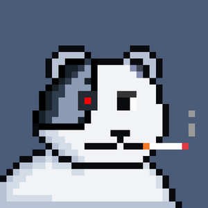 bear_infinity: 219