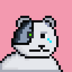 bear_infinity: 528