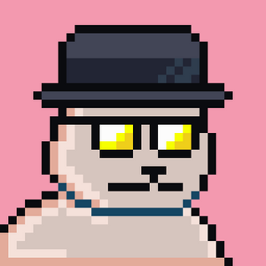 bear_infinity: 599