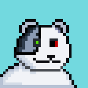 bear_infinity: 5030