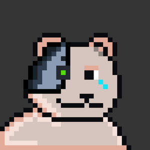 bear_infinity: 332