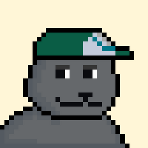 bear_infinity: 74
