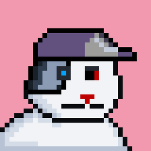 bear_infinity: 3407
