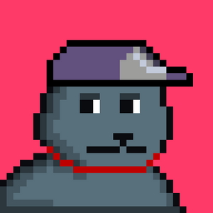 bear_infinity: 110