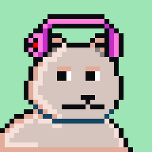 bear_infinity: 306